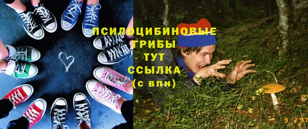 ГАЛЛЮЦИНОГЕННЫЕ ГРИБЫ Балабаново