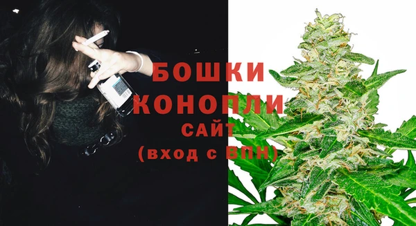 PSILOCYBIN Бугульма