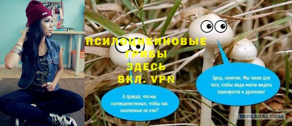 мдма Бородино