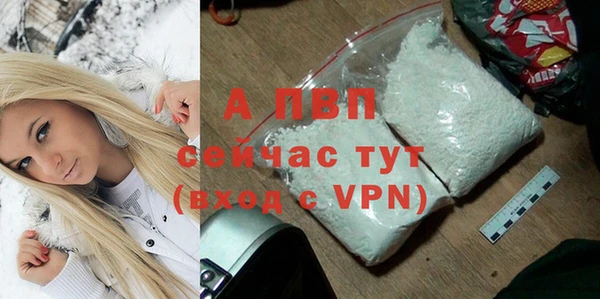 PSILOCYBIN Бугульма