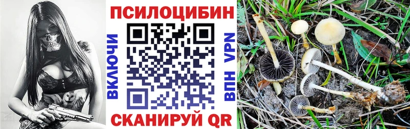 Псилоцибиновые грибы Magic Shrooms  Чудово 